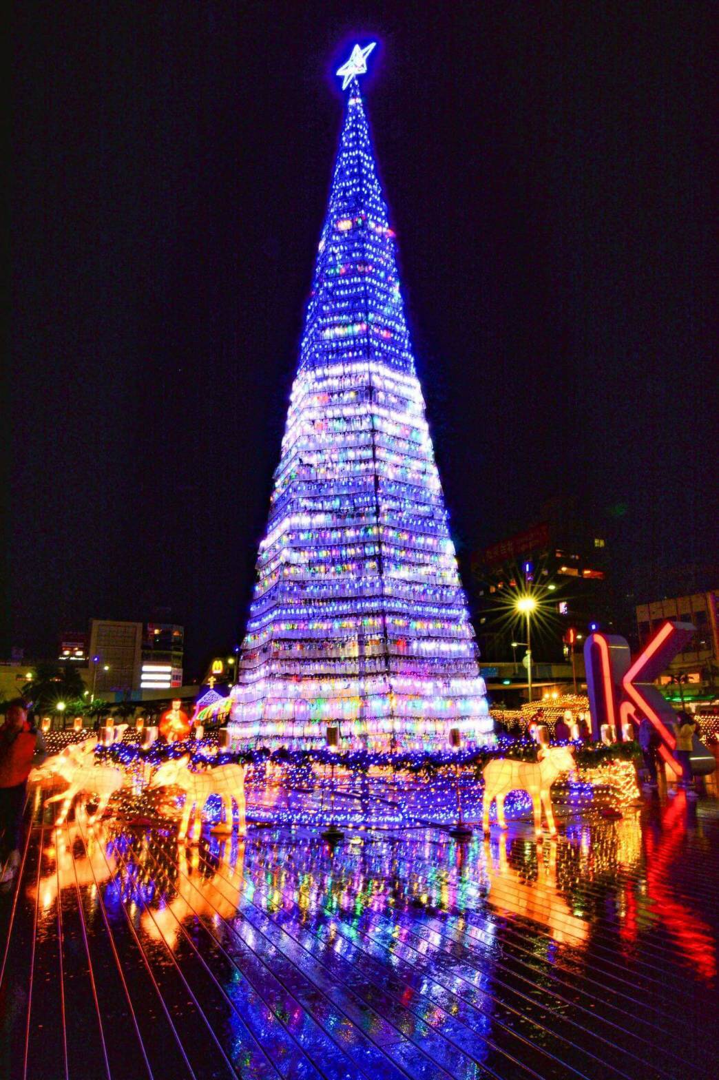 整个基隆海洋广场充满圣诞节气氛。(照片提供/基隆市基督教联合关怀协会)